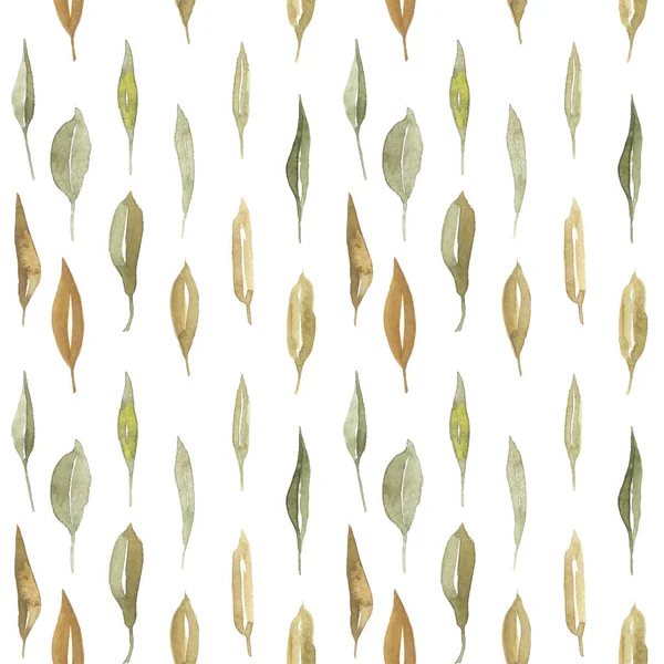 Botanical Watercolor autumn Seamless pattern with leaves. hand painted for textile — Stock Photo, Image