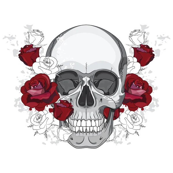 Diseño Con Cráneo Humano Rosas Rojas Aisladas Blanco Ilustración Vectorial — Vector de stock