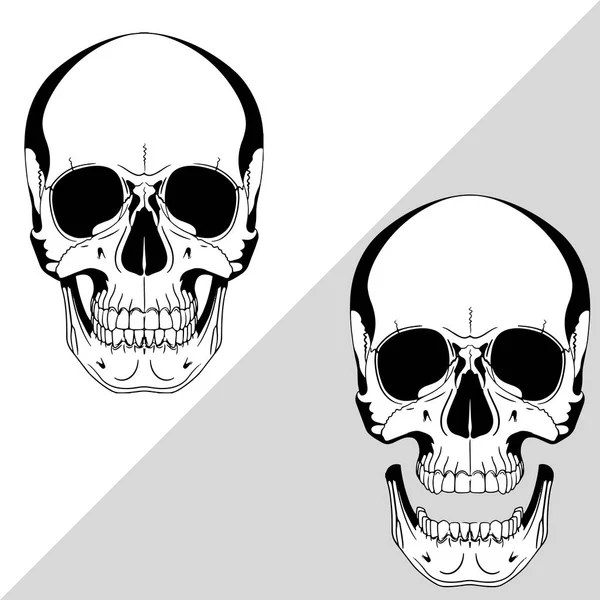 Menschenschädel Von Hand Gezeichnet Isoliert Auf Schwarz Vektorillustration — Stockvektor