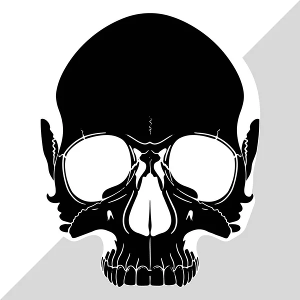 Human Skull Drawn Hand Isolated Black Vector Illustration — Stock Vector