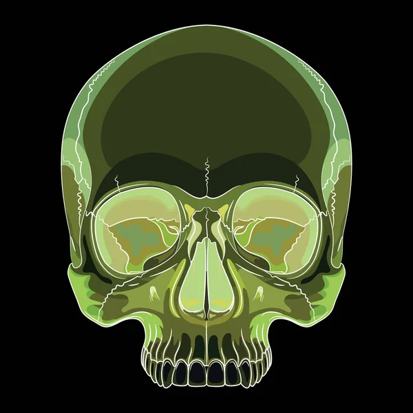 Calavera Humana Dibujada Mano Aislada Negro Ilustración Vectorial — Vector de stock