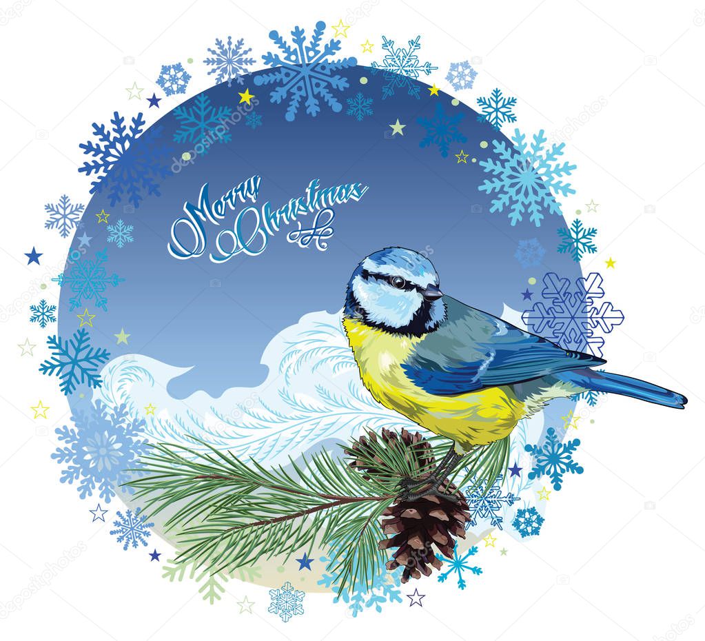 Christmas card. Titmouse sitting on pine branch with cones and the circle of snowflakes, isolated on white, vector illustration