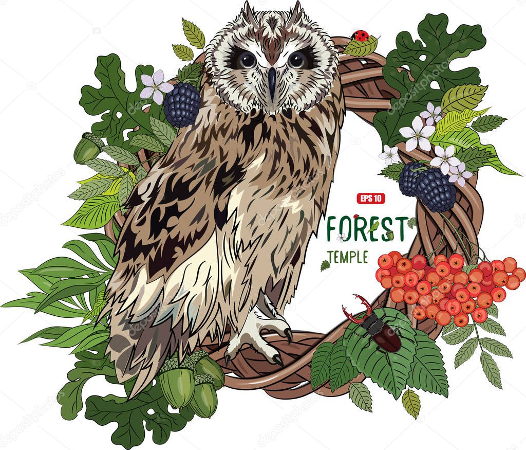 Owl in blooming deciduous forests