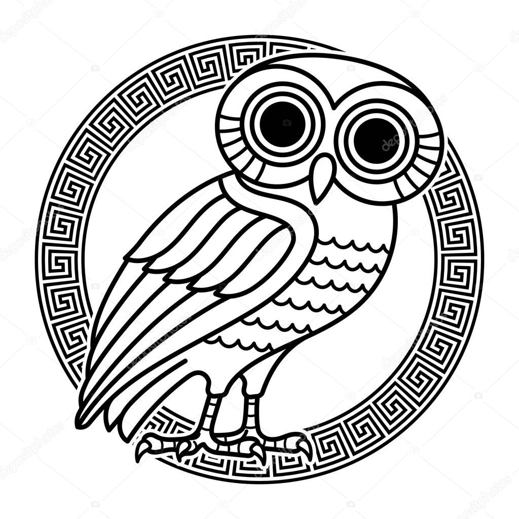 Greek ancient coin from Athens, vintage illustration. Old engraved illustration of an owl and greek ornament meander