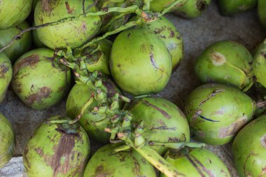 Hindistan cevizi hasat. birçok Hindistan cevizi. Gıda dokular için Hindistan cevizi. . Manzara. Hindistan cevizi. Sokak sebze pazarı. Hindistan cevizi grubu