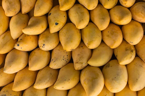 Açık hava çiftçi pazarında sergilenen taze renkli tropikal mangolar.