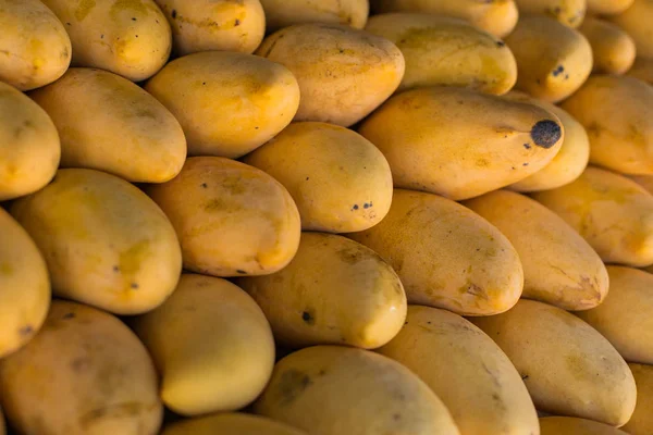 Açık hava çiftçi pazarında sergilenen taze renkli tropikal mangolar.