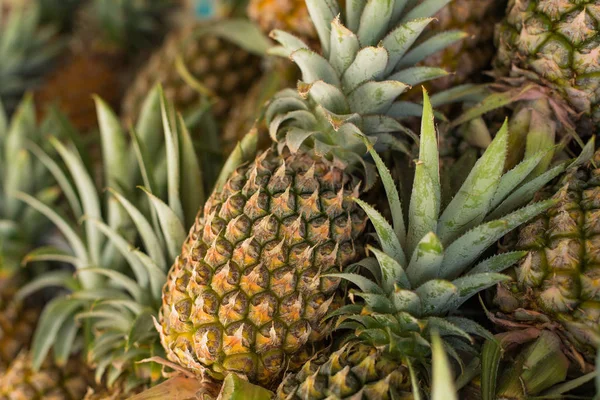 Hindistan cevizi hasat. birçok Hindistan cevizi. Gıda dokular için Hindistan cevizi. . Manzara. Hindistan cevizi. Sokak sebze pazarı. Hindistan cevizi grubu