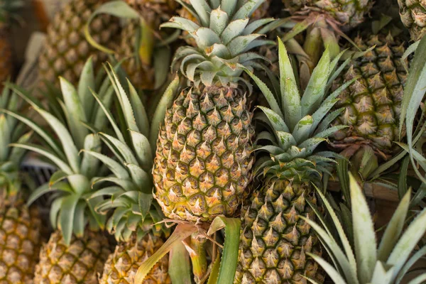 Hindistan cevizi hasat. birçok Hindistan cevizi. Gıda dokular için Hindistan cevizi. . Manzara. Hindistan cevizi. Sokak sebze pazarı. Hindistan cevizi grubu