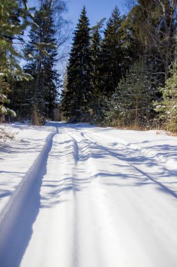 Altın sonbahar, altın listeleri, panorama görünüm ağaçlar
