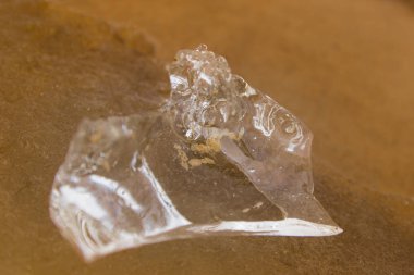 Altın sonbahar, altın listeleri, panorama görünüm ağaçlar