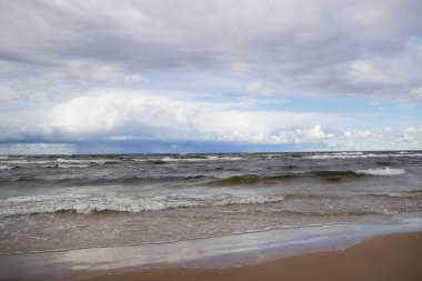 Altın sonbahar, altın listeleri, panorama görünüm ağaçlar