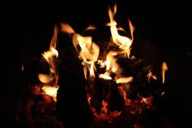 ahşap kesim görünümünde