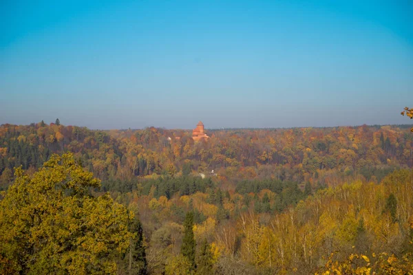 Золоті Дерева Осінь Золоті Списки Вид Панораму — стокове фото