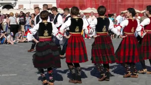 Timişoara Romania Maj 2018 Ung Serbisk Folkmusik Dansare Uppträda Lokal — Stockvideo