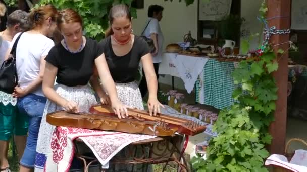 Timisoara Romanya Haziran 2018 Macar Şarkıcı Kız Eski Geleneksel Müzik — Stok video