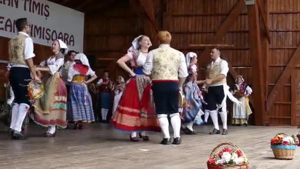 Rumänien Timisoara Juli 2018 Italienska Dansarna Traditionell Dräkt Utföra Folkdans — Stockvideo