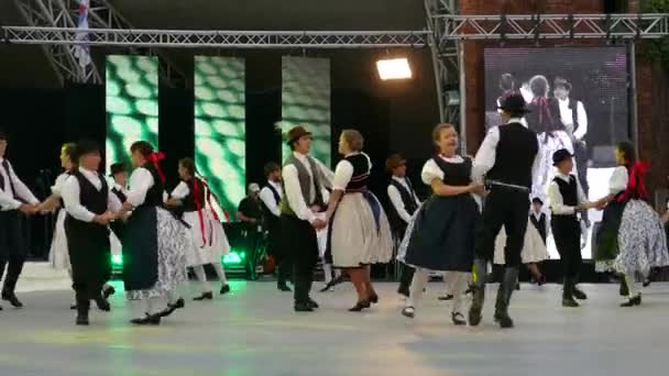Romania Timisoara Julio 2018 Grupo Bailarines Hungría Traje Tradicional Presentes — Vídeo de stock