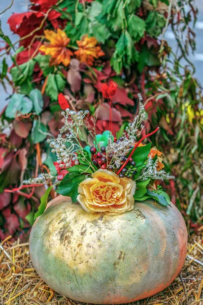 Podzimní Uspořádání Dýní Květiny — Stock fotografie