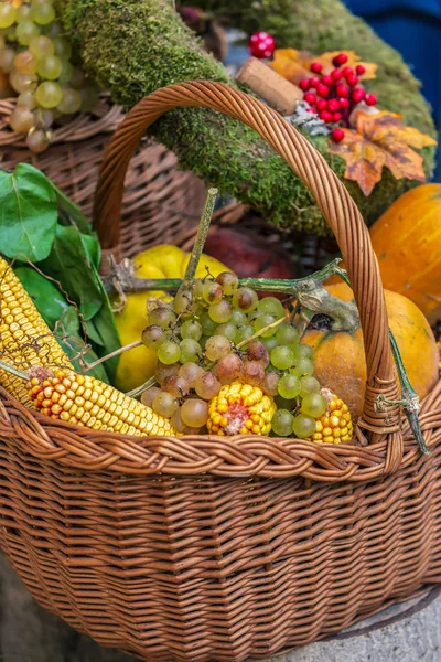 Autumn Arrangement Pumpkins Grapes Basket — Stock Photo, Image