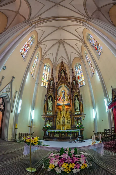 Novi Sad Serbia July 2017 Mary Cathedral Roman Catholic Church — Stock Photo, Image