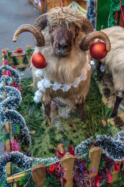 Decorazione Della Fiera Natale Strada Timisoara Romania Con Atmosfera Specifica — Foto Stock