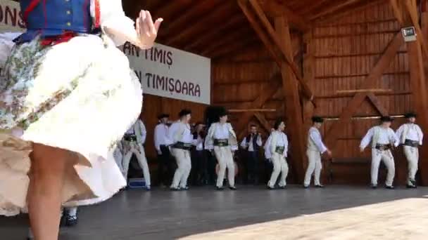 Romania Timisoara Julio 2018 Jóvenes Bailarines Eslovacos Traje Tradicional Realizan — Vídeo de stock