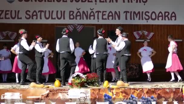 罗马尼亚 蒂米什瓦拉 2018年9月8日 身着传统服装的斯洛伐克青年舞蹈演员 在市政厅蒂米什瓦拉组织的 秋叶产品节 期间表演民间舞蹈 — 图库视频影像