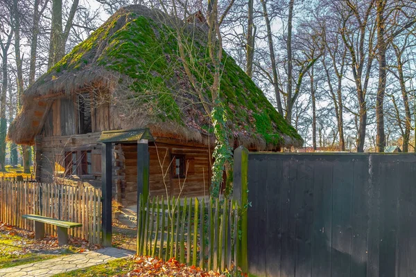 Casa de madera cubierta con paja y almizcle forestal, Banat, Rumania —  Fotos de Stock