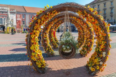 Romanya 'nın Timisoara kentinde çiçek desenleri