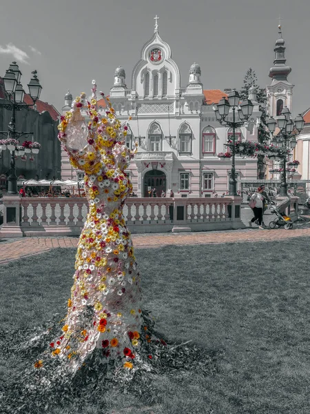 Floral decorations in Timisoara, Romania — Stock Photo, Image