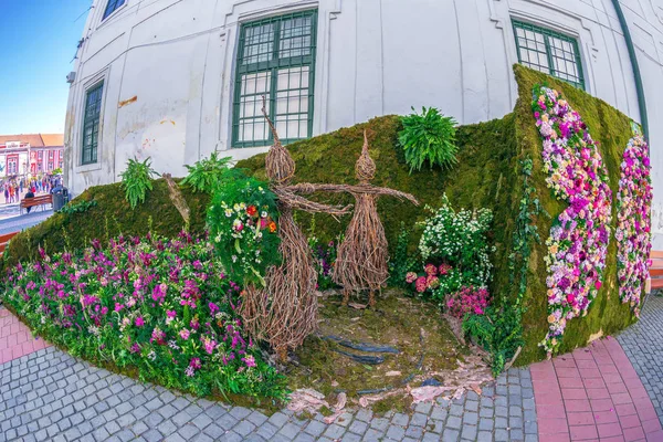 Floral decorations in Timisoara, Romania — Stock Photo, Image