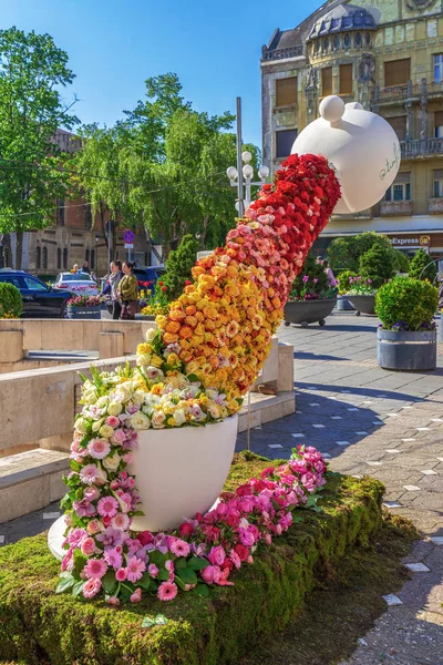 Floral decorations in Timisoara, Romania — Stock Photo, Image