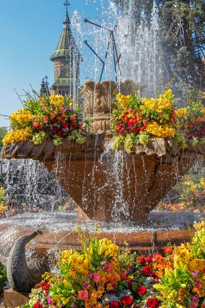 Decorazioni floreali a Timisoara, Romania — Foto Stock