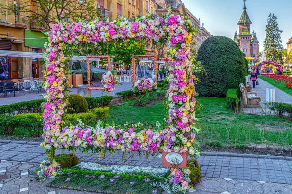 Décorations florales à Timisoara, Roumanie — Photo