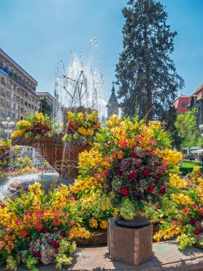 Romanya 'nın Timisoara kentinde çiçek desenleri