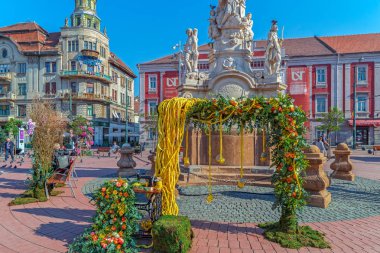Romanya 'nın Timisoara kentinde çiçek desenleri