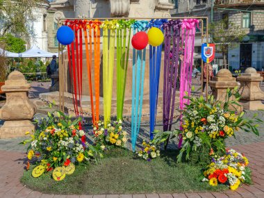 Romanya 'nın Timisoara kentinde çiçek desenleri