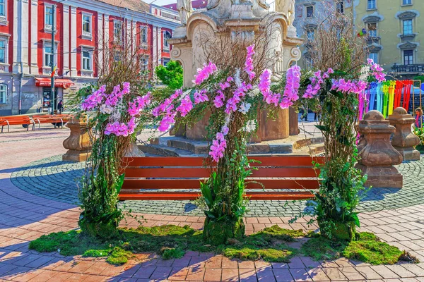 Decorazioni floreali a Timisoara, Romania — Foto Stock