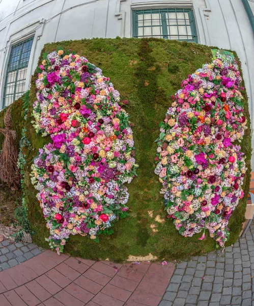 ティミソアラ,ルーマニアの花飾り — ストック写真