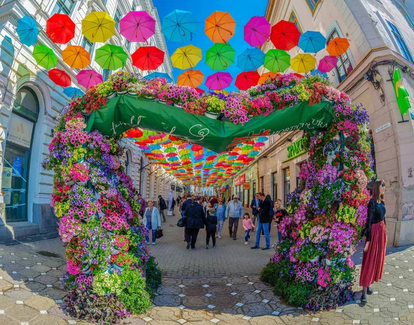 Rua com guarda-chuvas coloridos em Timisoara, Roménia — Fotografia de Stock