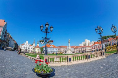 sendika kare Timisoara, Romanya