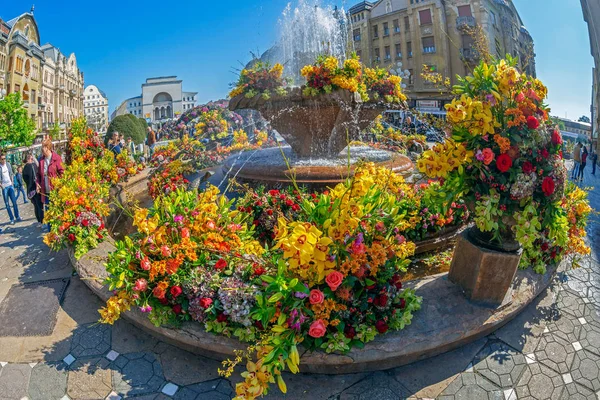 Blumenschmuck auf dem Siegesplatz, Timisoara, Rumänien — Stockfoto