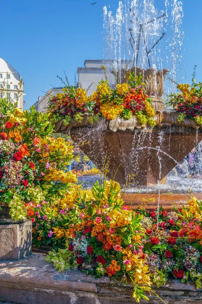 Blumenschmuck auf dem Siegesplatz, Timisoara, Rumänien — Stockfoto