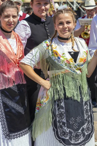 Парад швабских народных костюмов — стоковое фото