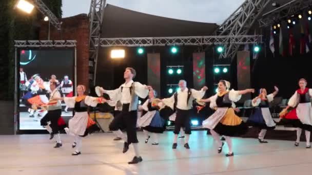 Тимисоара Румыния Июля 2019 Года Швейцарские Танцоры Традиционном Костюме Исполняют — стоковое видео