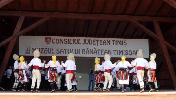 Timisoara Roumanie Juillet 2019 Des Danseurs Serbes Costume Traditionnel Exécutent — Video