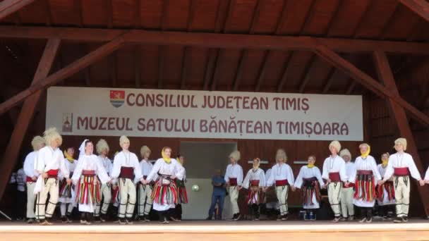 Timisoara Romanya Temmuz 2019 Geleneksel Kostümlü Sırp Dansçılar Timisoara Belediyesi — Stok video