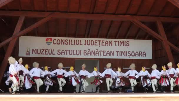 Timisoara Rumunsko Července 2019 Srbští Tanečníci Tradičním Kostýmech Svými Lidovými — Stock video