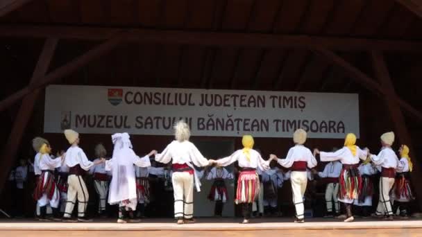 Timisoara Rumunia Lipca 2019 Serbscy Tancerze Tradycyjnym Kostiumie Wykonują Taniec — Wideo stockowe